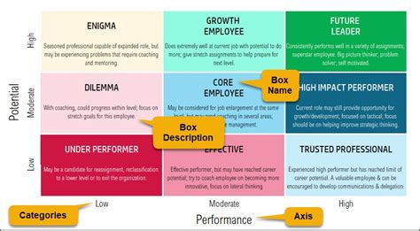 9 Box Grid Talent Management Excel Template - HR Spreadsheets