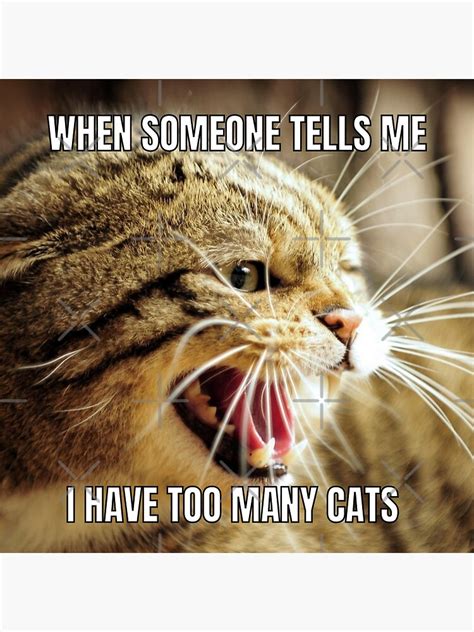 "When Someone Tells Me I Have Too Many Cats - Funny cat memes, cat puns and cat jokes for cat ...