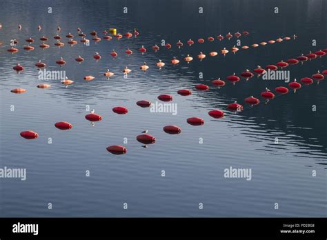 Shellfish farming hi-res stock photography and images - Alamy