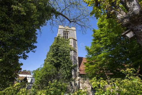 Colchester Natural History Museum Stock Photo - Image of building, historical: 116676796