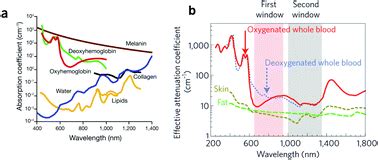 Current concepts in nanostructured contrast media development for in vivo photoacoustic imaging ...