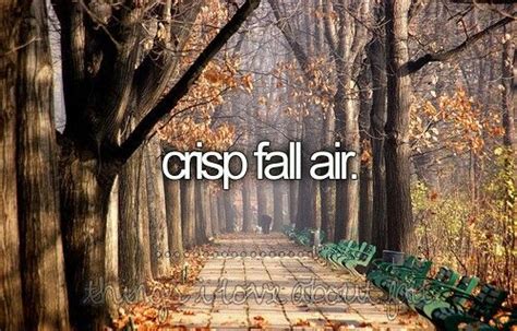 Crisp Fall Air Pictures, Photos, and Images for Facebook, Tumblr, Pinterest, and Twitter