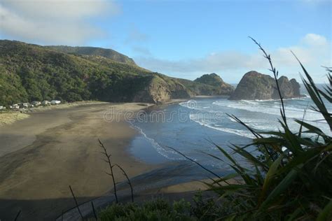 Piha beach in New Zealand stock photo. Image of scenic - 108233624