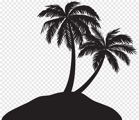 Silhouette coco palm trees illustration, Silhouette Arecaceae, palmeira, folha, fotografia ...