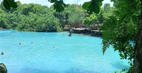 Port Vila: Blue Lagoon & Baby Turtles Tour with BBQ Lunch | GetYourGuide