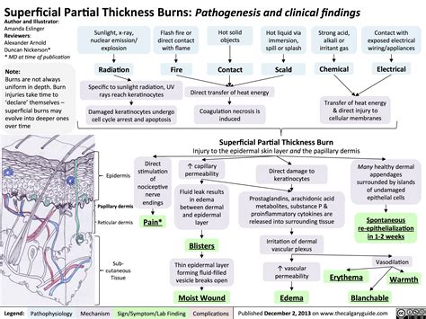 Superficial Partial Thickness Burns: Pathogenesis and Clinical Findings | Calgary Guide