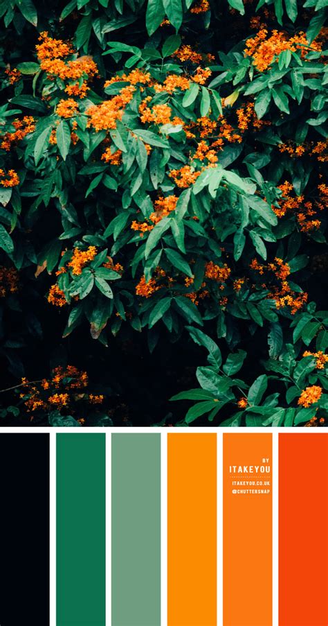 Négligé Pourquoi Absence black and orange color palette Armée Est en train de pleurer nickel