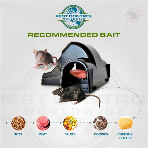 Child Safe & Pet Safe Rat Tunnel Snap Trap - Pest Control Worldwide - A Leading Online Retailer ...