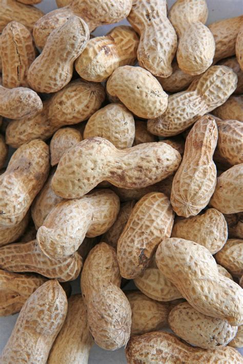 Peanuts in Shell 10kg | Topflite Ltd.