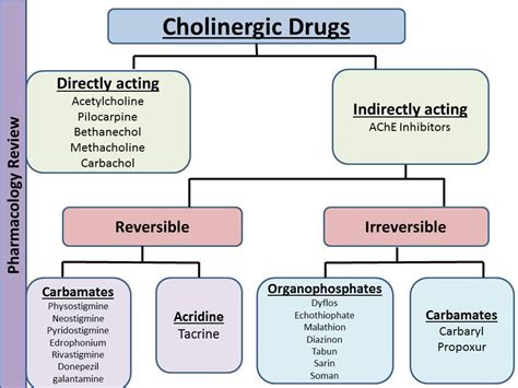 Classification of Cholinergic Drugs.... - Pharmacology Review