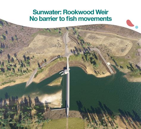 Sunwater: Rookwood Weir no barrier to fish movements – Fitzroy Partnership for River Health