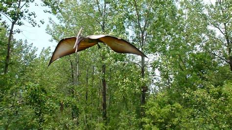 Pterodactyl or Pteranodon at Field Station: Dinosaur - YouTube