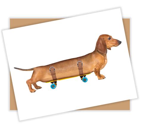 Funny Dachshund Card Weiner Dog and Skateboard Funny All Occasion Blank ...