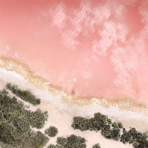 Beach Wallpaper 4K, Baby pink, Seashore, Aerial view