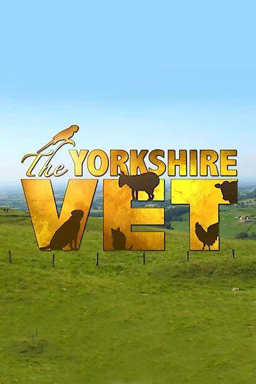 Watch The Yorkshire Vet Streaming Online - Yidio