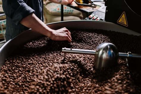 The Best 22 Coffee Beans in The World You Must Try in 2024