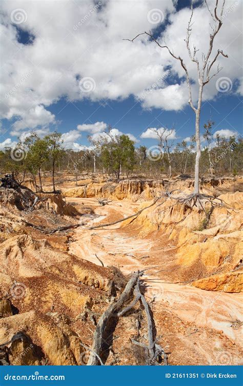 De Erosie Van De Grond Door Overgrazing Stock Afbeelding - Image of park, begrazing: 21611351