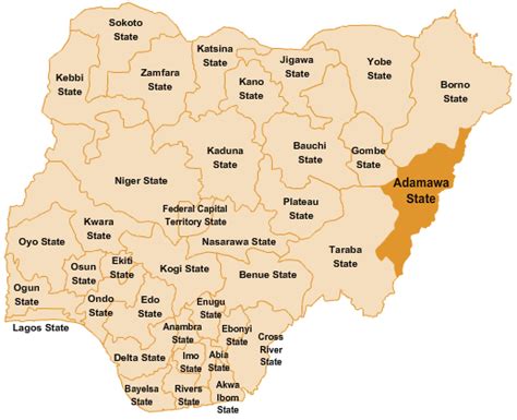 Adamawa Attacks: lawmaker seeks deployment of security to borders communities - The Nation Nigeria