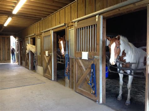 Boarding — Rocky Hill Stables