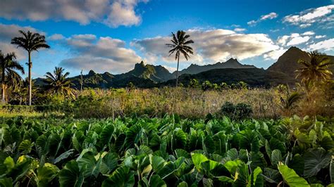 Rarotonga, Cook Islands | Natural landmarks, Island, Rarotonga