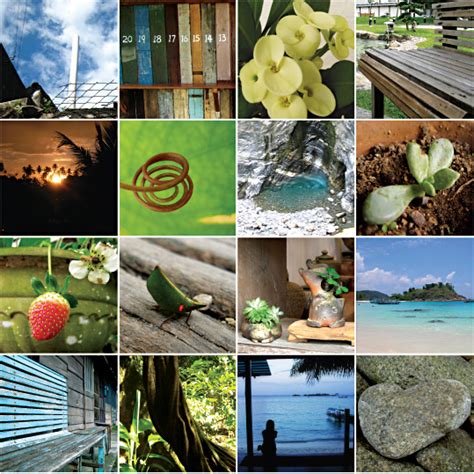 nature mood board Archives | Chomelle