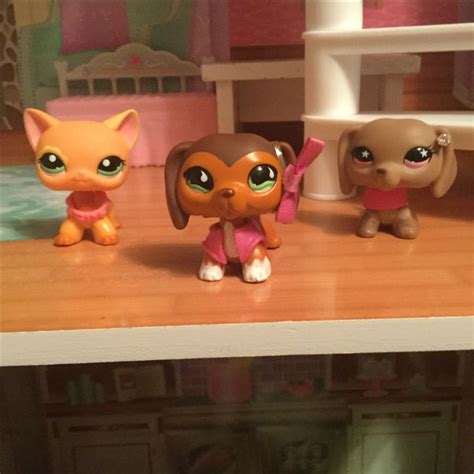 Cool kids | Lps toys, Lps littlest pet shop, Lps accessories