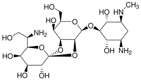 Hygromycin B | Antibiotic | P212121 Store