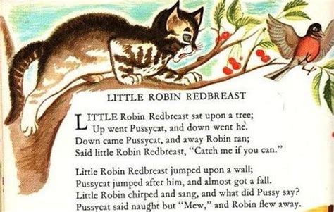 Little Robin Redbreast | Nursery songs, Nursery rhymes, Robin redbreast