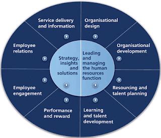 HR Case Studies: New Career Map for HR Professionals