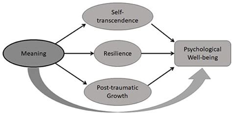 Frontiers | Optimal Sense-Making and Resilience in Times of Pandemic ...