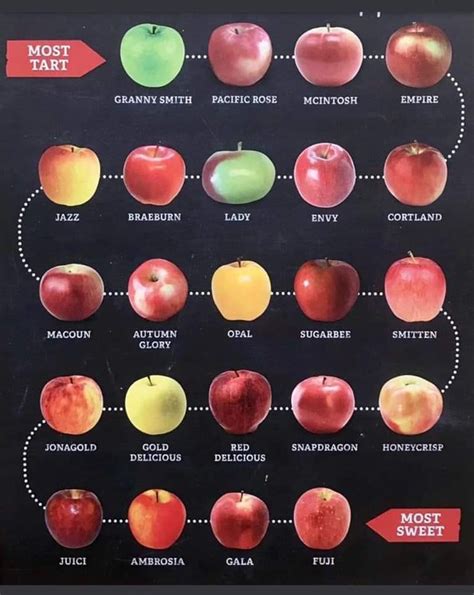 Scale of Apple Tartness to Sweetness | Apple varieties, Apple chart, Fruit