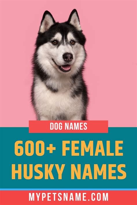 Female Husky Names | Husky names, Girl dog names, Good husky names