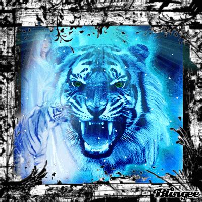 tiger roar Animated Picture Codes and Downloads #105127473,549813904 | Blingee.com