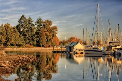 A late, yellow autumn afternoon in Stanley Park - Vancouver. It was the very last shot of the ...