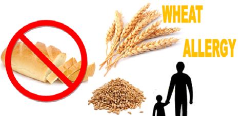 Diet Plan in Wheat Allergy | Food Clinic