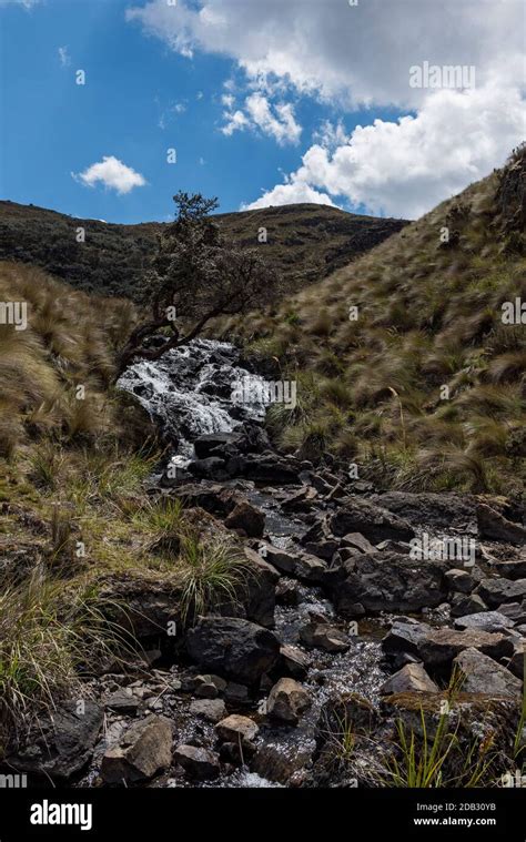 El Cajas National Park, Ecuador Stock Photo - Alamy