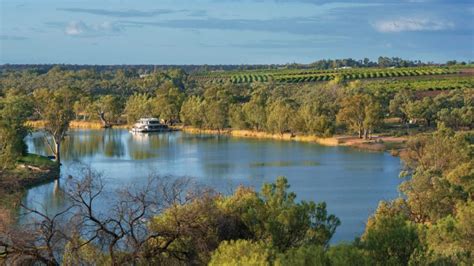 Riverland, the picturesque SA region where locals have a holiday lifestyle all year round