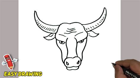 How to draw an Ox head easy and step by step | Ox Face Line illustration | Ox head Sketch - YouTube