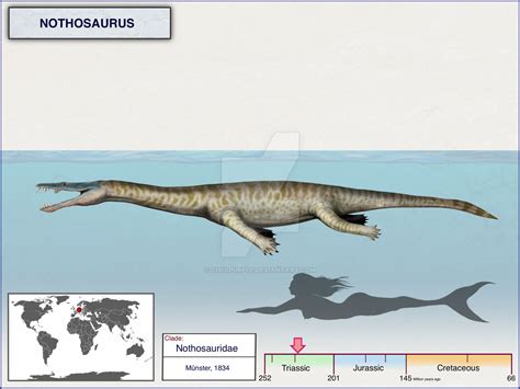 Nothosaurus by cisiopurple on DeviantArt