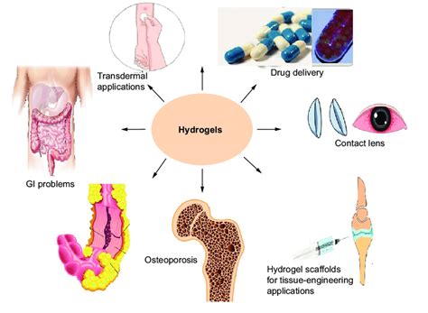 Hydrogels in their various fields of application. | Download Scientific Diagram