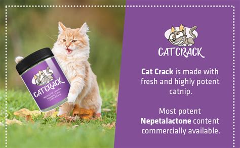 Amazon.com : Cat Crack Catnip, 100% Natural Cat Nip Blend That Energizes and Excites Cats, Safe ...