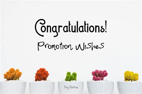 165 How to Write: Promotion Wishes – Congratulations Messages on Promotion | Best ...