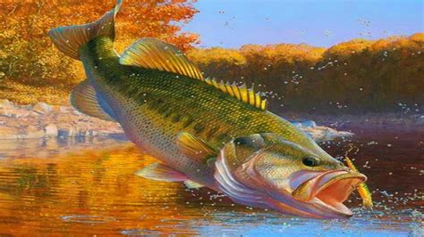 Largemouth Bass Wallpapers - Top Free Largemouth Bass Backgrounds ...