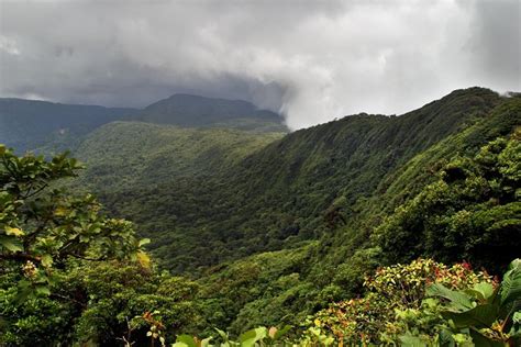 Skip the Line: Santa Elena Cloud Forest Reserve Admission Ticket 2024 ...