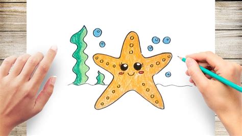 Cute Starfish Drawing