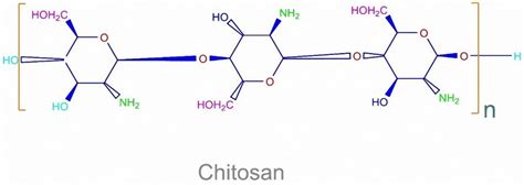 Chitosan Chemical Structure | Hot Sex Picture