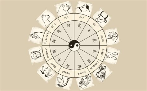 Chinese Astrology Chart: Month, Day, And Hour Birth Animals And Their Meanings-tuvi365