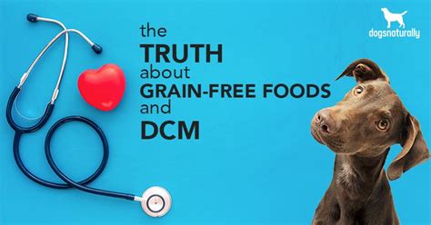 The Truth About Grain-Free Dog Foods And DCM | Dogs Naturally