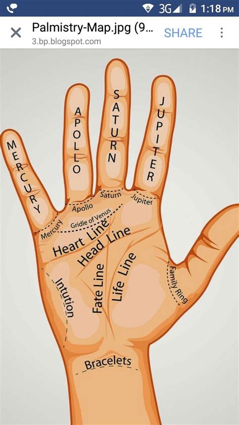 Pin by Masoud Bahojb on Meditation | Palmistry, Palm reading, Learn ...