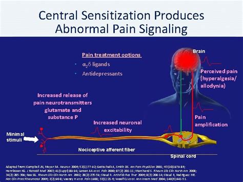 PATHOPHYSIOLOGY Overview Pathophysiological Classification of Pain ...